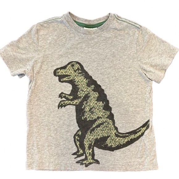 Hanna Andersson Other - Hanna Andersson Boys Grey Dinosaur T-Shirt, Size 110 (5) Tee, 100% Soft Cotton